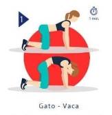 Postura gato-vaca