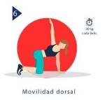 Movilidad del dorsal