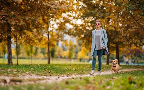 Prioriza las actividades al aire libre