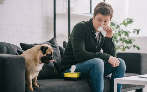 10 preguntas sobre la alergia a gatos y perros