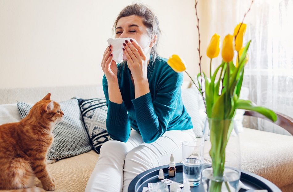Alergia a los gatos