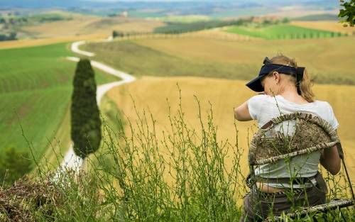 Atención al calendario de polinización