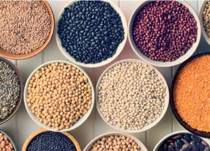 Alubias del ganxet con butifarra