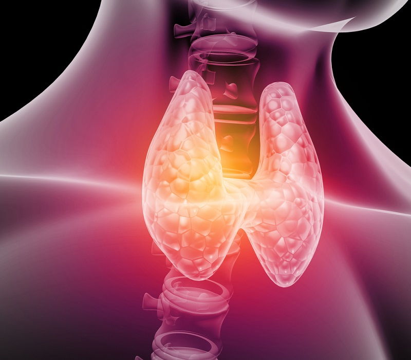 Cambios de la tiroides en el embarazo y sus riesgos