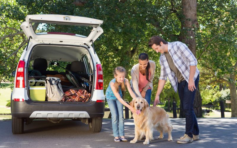 Consejos para una conduccion segura