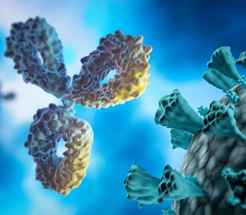 Cuando realizas ejercicio, ¿bajan o suben las defensas?