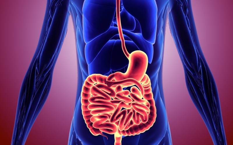 Eliminación de tumores digestivos sin cirugía