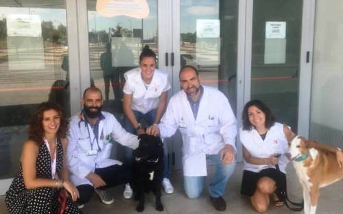 Los niños pueden recibir a sus perros en el hospital