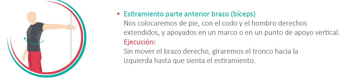 Estiramiento de bíceps