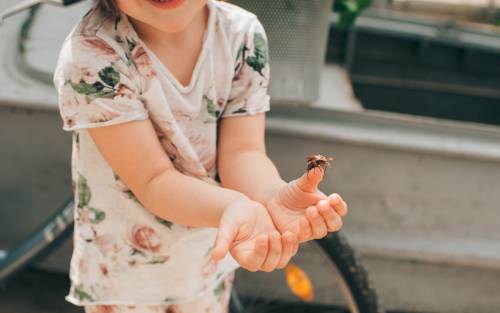 Cómo y evitar picaduras de avispas y abejas, y su tratamiento