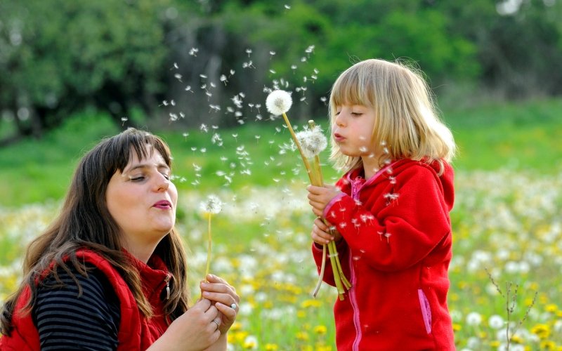 Familia en el parque