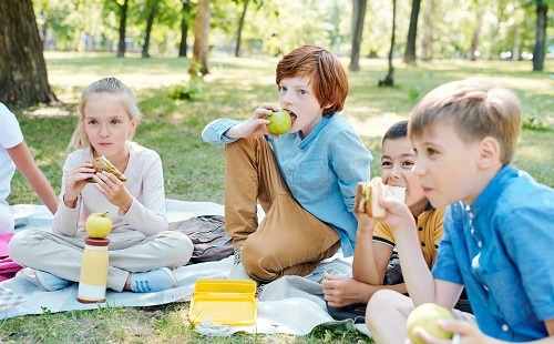 Fruta fresca o deshidratada, ¿cuál es más sana?