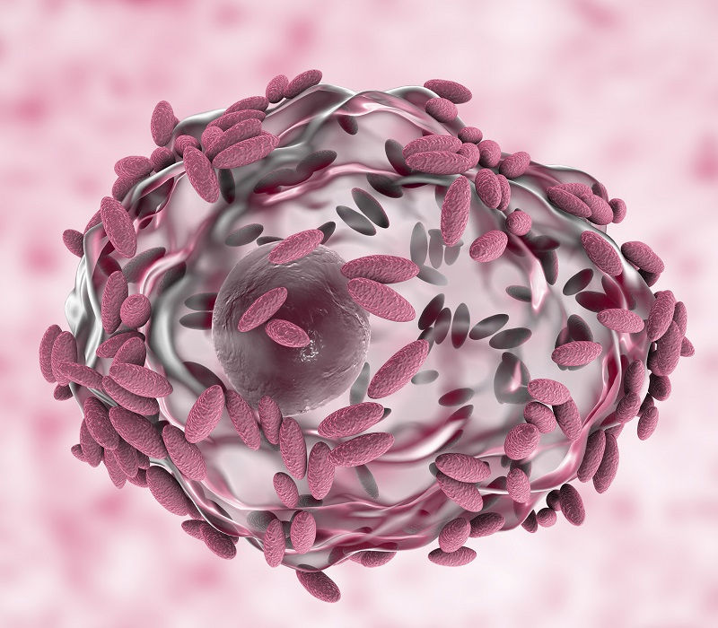 Vaginosis bacteriana, una ITS muy frecuente