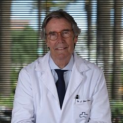 Javier del Pozo Roselló