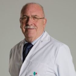 Juan Antonio Casellas Valde