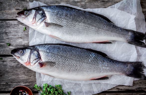 lubina-plancha-sofrito-tomate