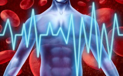 Monitorizacion online del tratamiento de anticoagulados