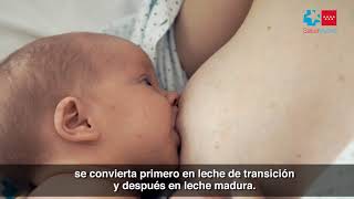 En qué consiste la lactancia materna