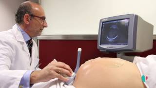 Mucho más que lograr un embarazo