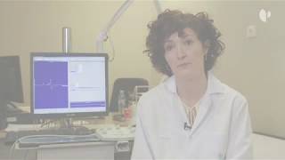 Un estimulador magnético transcraneal para detectar patologías en el sistema nervioso