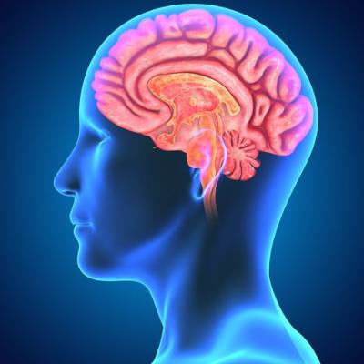 neurocirugia-cerebro