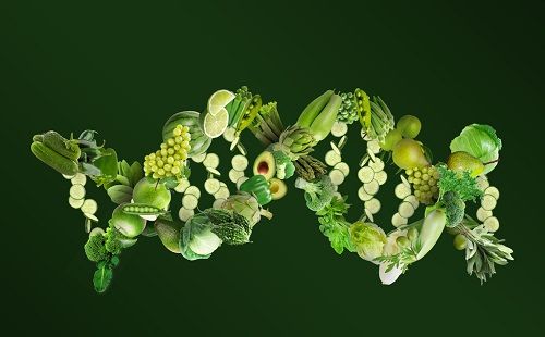 Nutrigenética: qué es y para qué sirve