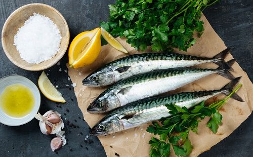 Pescado azul y la contaminación de metales
