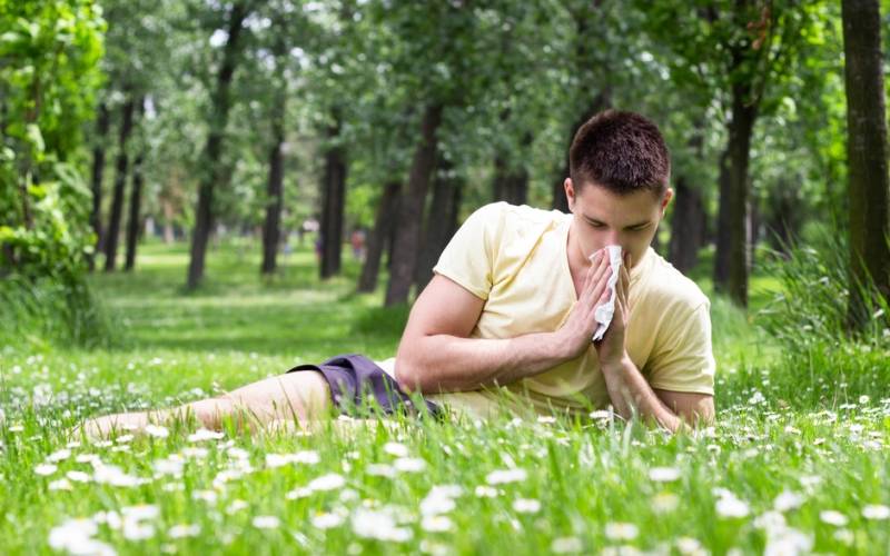 La primavera y la alergia al polen