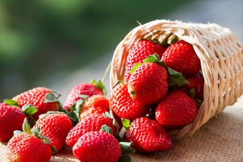 Propiedades de las fresas