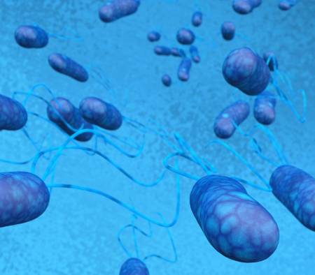 ¿Qué provoca la cistitis?