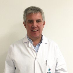 Rafael Palomares Ortega