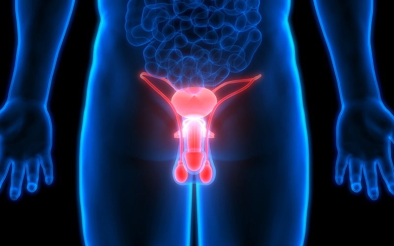 ¿Cómo se realiza la vasectomía?