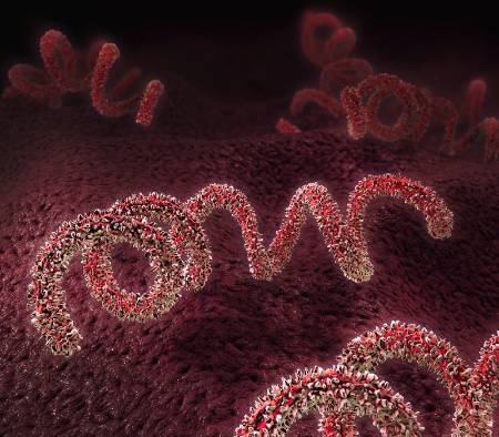 Sífilis y otras infecciones de transmisión sexual muy comunes