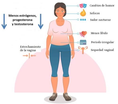 Síntomas de menopausia o climaterio