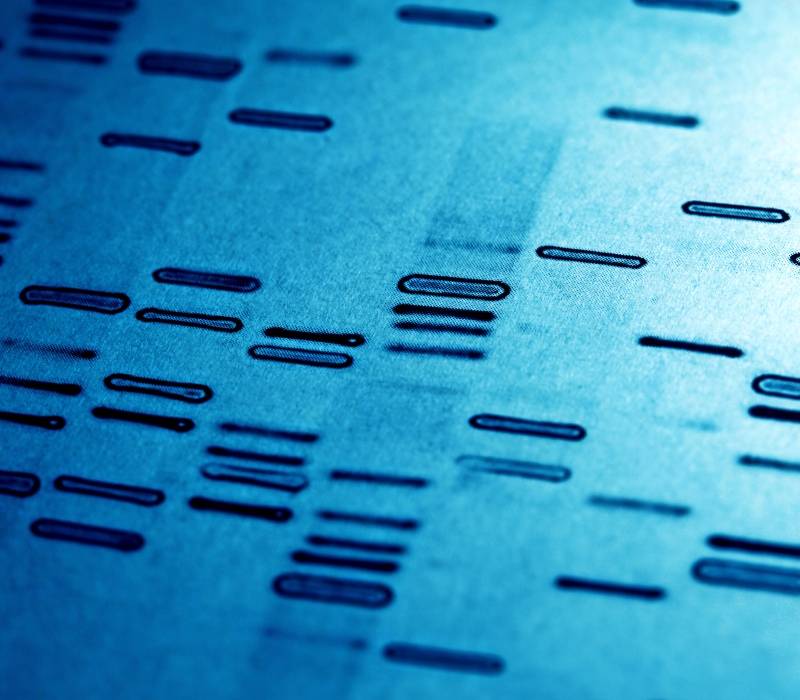 Test de genetica Quirónsalud