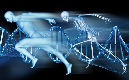 Test genéticos para saber tu potencial deportivo