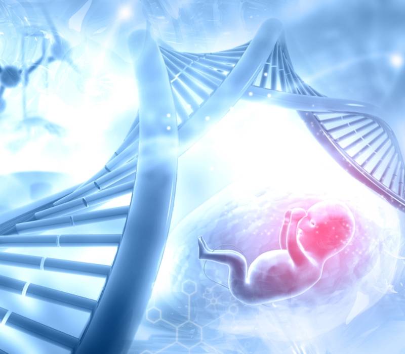 El DPNI de aneuploidías, ¿una alternativa a la amniocentesis?, un gran avance en el diagnóstico prenatal