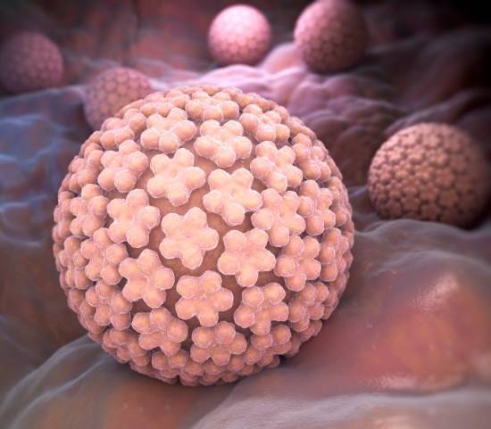 Virus del papiloma humano