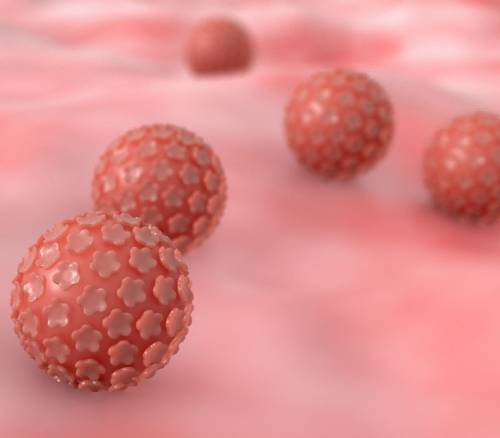 Virus del papiloma humano o VPH